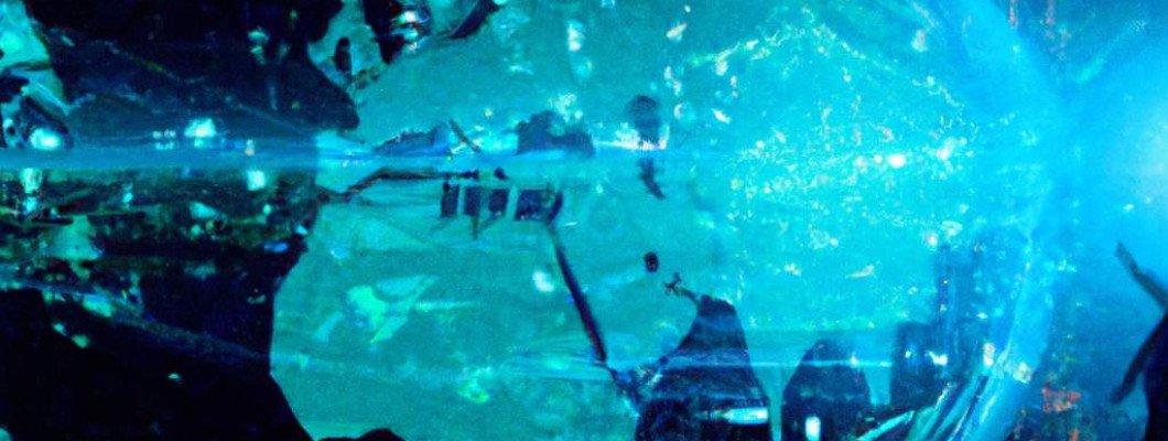 Floral subscription boxes enhanced with digitally printed flower designs for each season