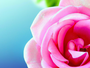 How a UV Printer Enables Same-Day Custom Products for Local Markets