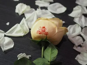 Flower Printer for Printing Designs on Flowers – Customizable & Versatile