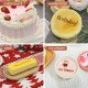Portable PrintPen Edible Food & Drinks Printer