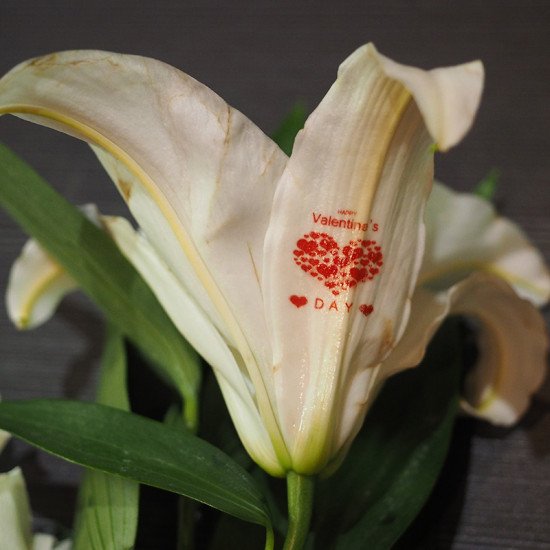 Petal art printing machine printing custom design on fresh rose for hotel event