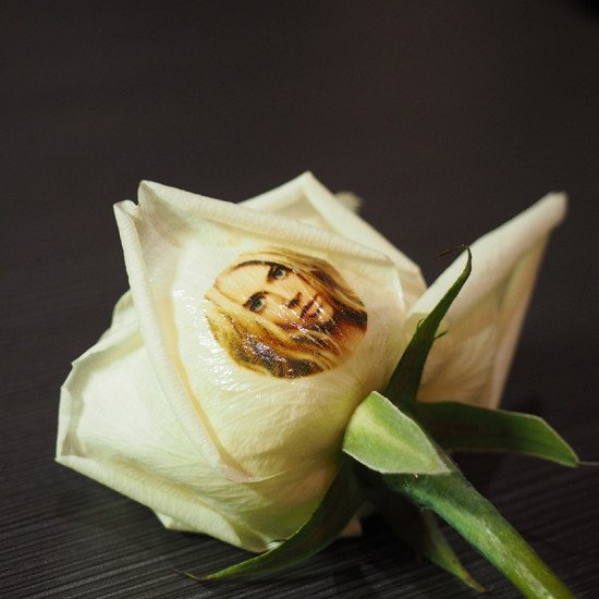 Petal art printing machine printing custom design on fresh rose for hotel event