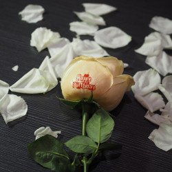 Speaking Flower Printer