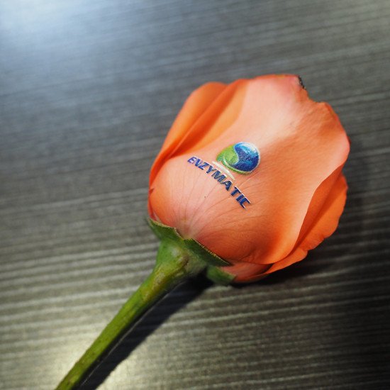 Petal art printing machine printing custom design on fresh rose for hotel event