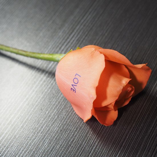 Rose Flower Printer
