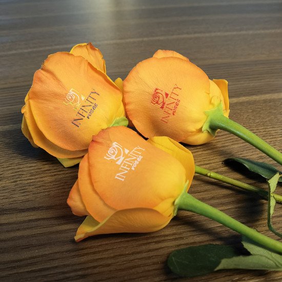 Rose Flower Printer